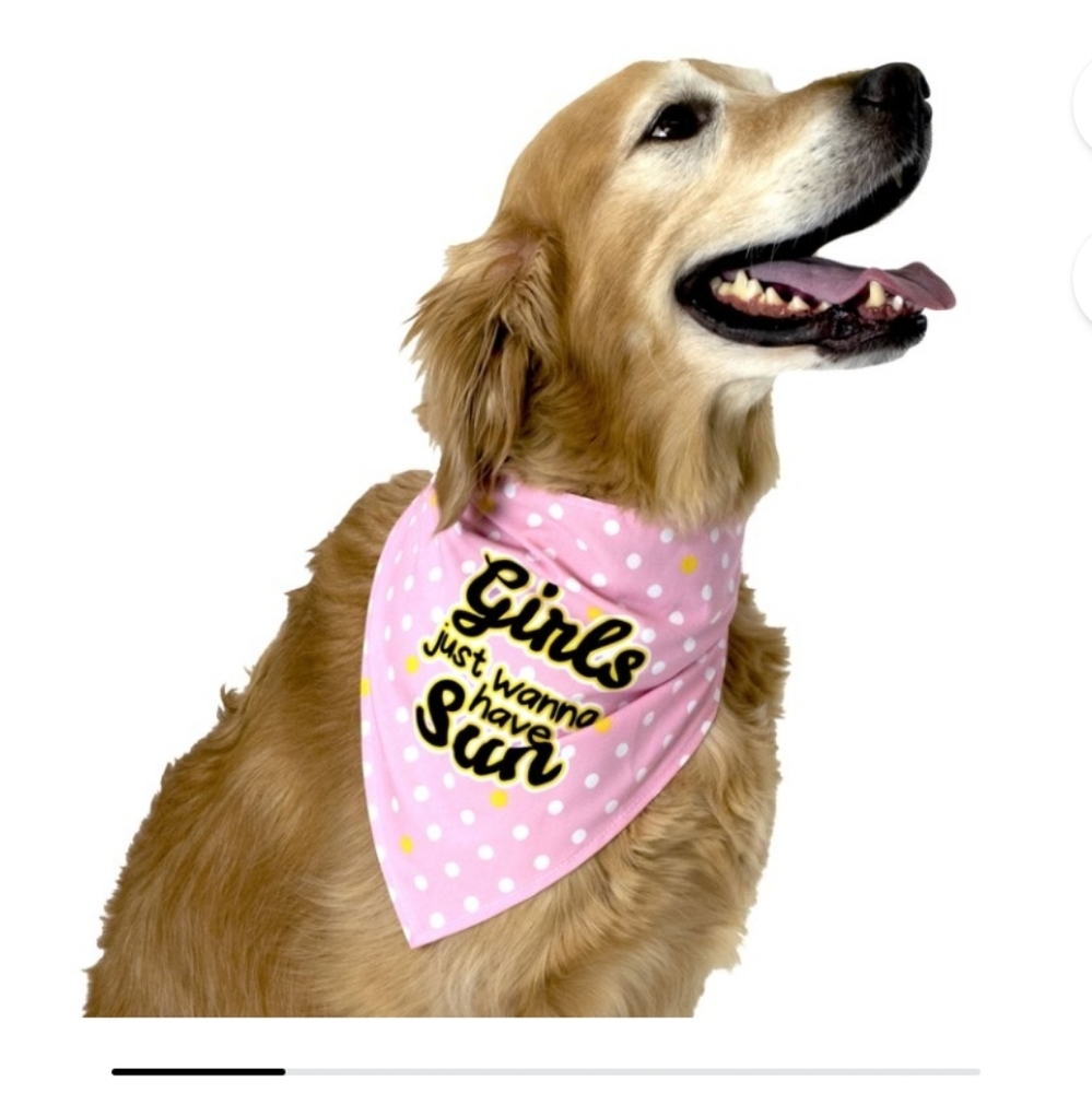 ❤️10/$13 New girls just wanna have fun dog bandana and clips